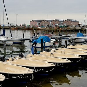 DSC 4513a