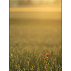 MorgenPZ1 2024