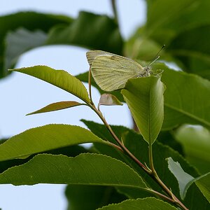 H002514c