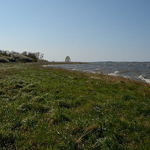 DSC 4167a
