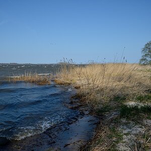 DSC 4173a