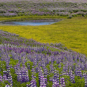 20080626 141208 island 2008 reloaded