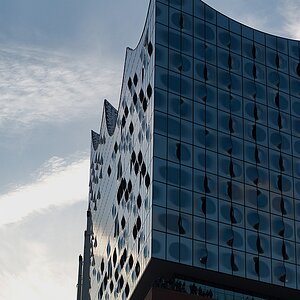 DSC 2273 062017