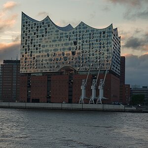 DSC 2278 062017