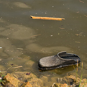 Schwimmschuh 1