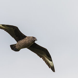 20170618 131428 norwegen nff
