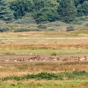 comp 20170825 DSC 0462