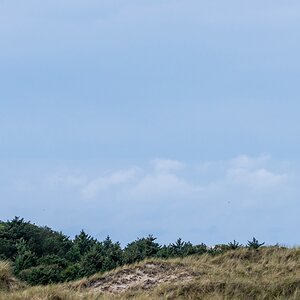 comp 20170828 DSC 0641