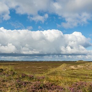 comp 20170827 DSC 6246