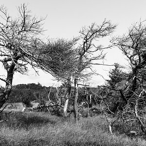 comp 20170825 DSC 6230 Bearbeitet