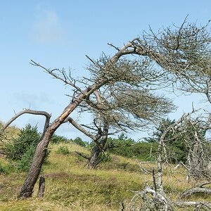 comp 20170825 DSC 6228