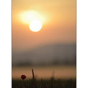 MorgenPZ1 2081