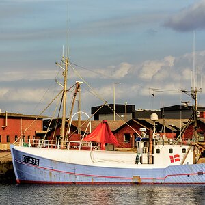 TZ ZIM 0337