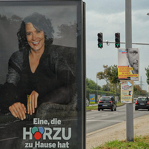 wahlplakat fdp