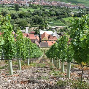 Escherndorf - Lump - 2
