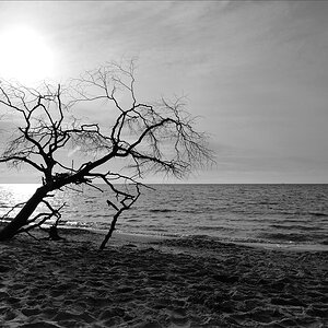 DSC 15442   Weststrand B+W