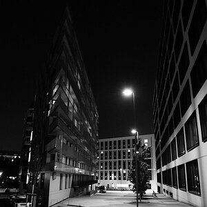 DSC 5026sw