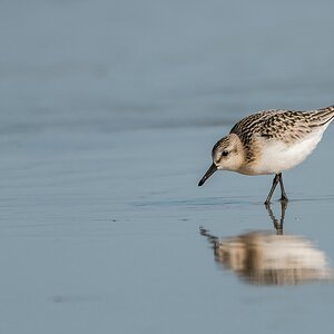 comp 20170825 DSC 0522