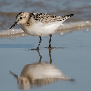 comp 20170825 DSC 0528