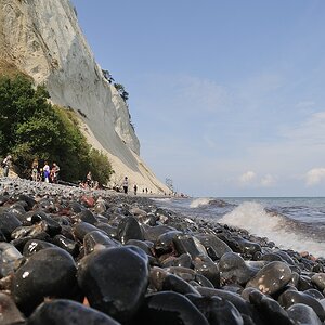 Kreidefelsen bei Møns Klint Dänemark 2014 (117)