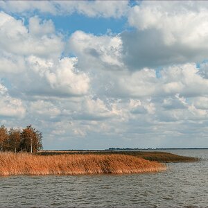 DSC 15219   Wieck