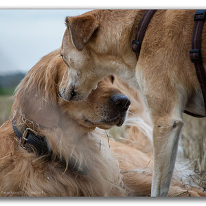 Y72 1262 WEB FORUM
