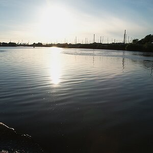 DSC 2462