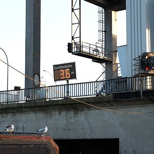 DSC 2519