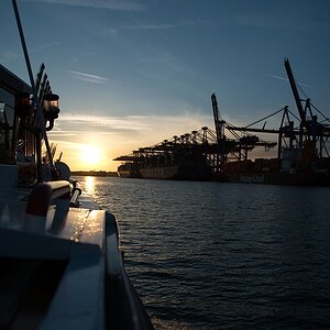 DSC 2562