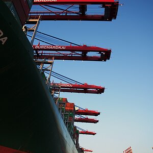DSC 2595