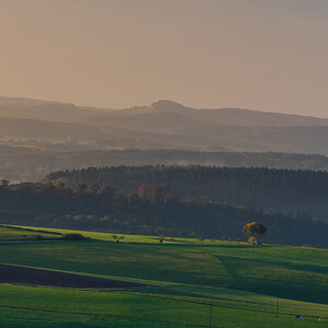 Eifelhügel