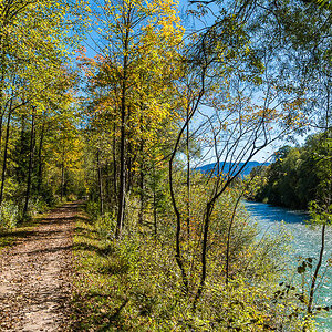 Herbsttag am Isarweg
