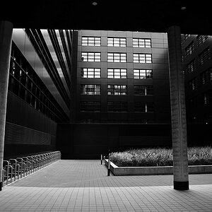 DSC 5151sw