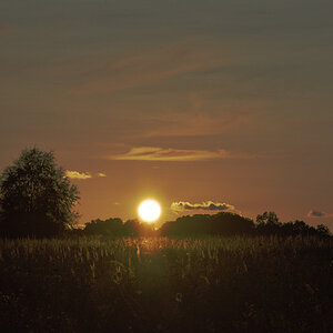 Sonnenuntergang Anfang September. Scheint doch noch Sommer zu werden - Altweibersommer.