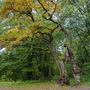 Herbst (2 von 3)