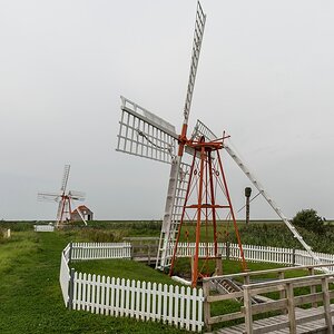 comp 20170817 DSC 0331