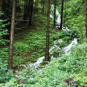 Rinnsal