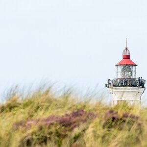 comp 20170828 DSC 0644