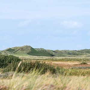 comp 20170828 DSC 0647