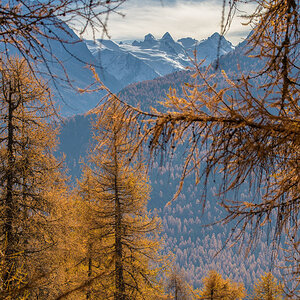 17F 7519 Bearbeitet