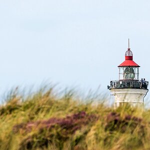comp 20170828 DSC 0644a