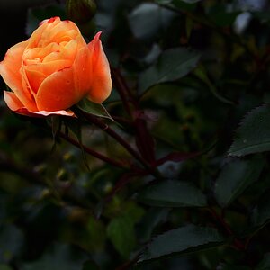 image 2017 10 08