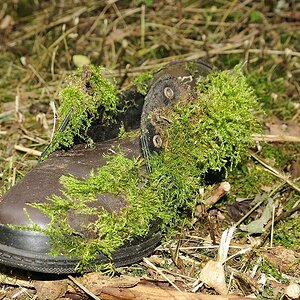 Lost Schuh DSC0081