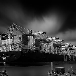 TS8 9204 DxO  k verkl MSC INGY
