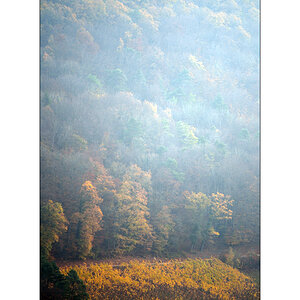 HerbstPZ1 4069