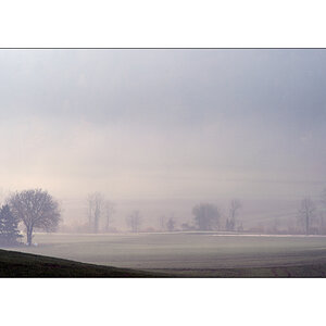 HerbstPZ1 4071