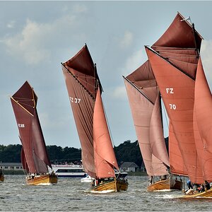 comp DSC 5454