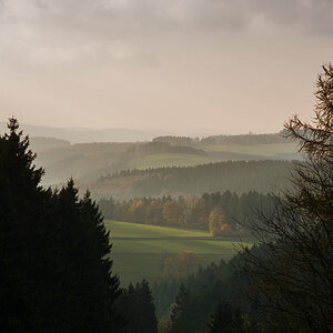 IMG 0262a