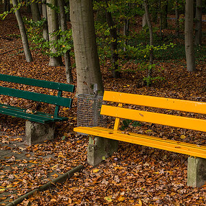 Herbstbänke 1