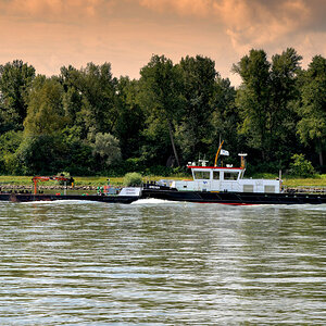 schiff am rhein 2017